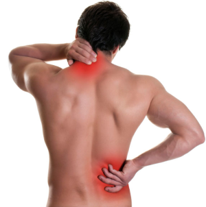 Какие мышцы болят при остеохондрозе и почему